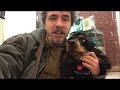 Train dog to stand and not move, whoa. Mila's journey into womanhood Train dog to stand and not move, whoa. Mila's journey into womanhood