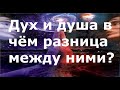 Дух и душа в чём разница между ними