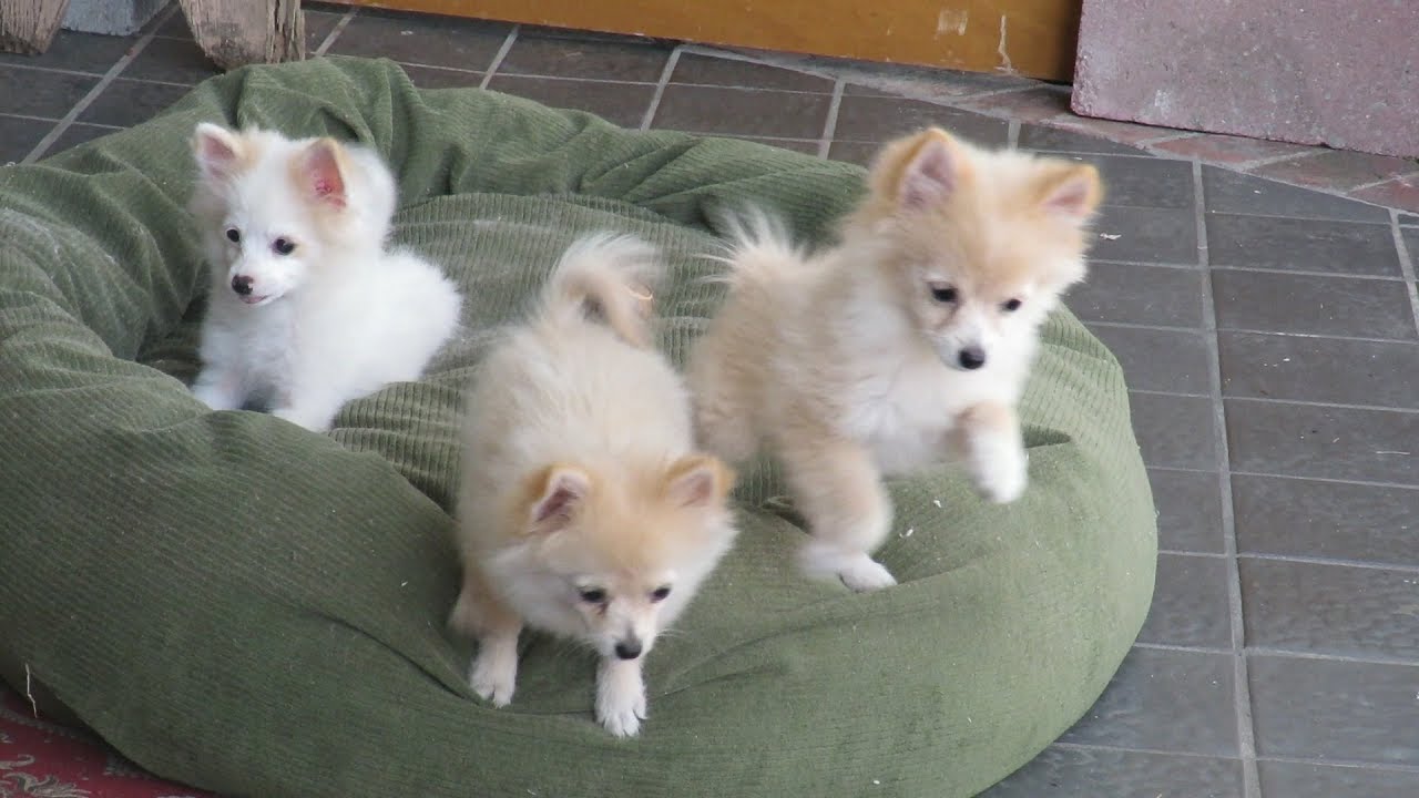 You Better Not | The Oodz | Music Video