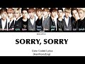 Sorry Sorry SUPER JUNIOR EXO AI Cover OT12 mp3