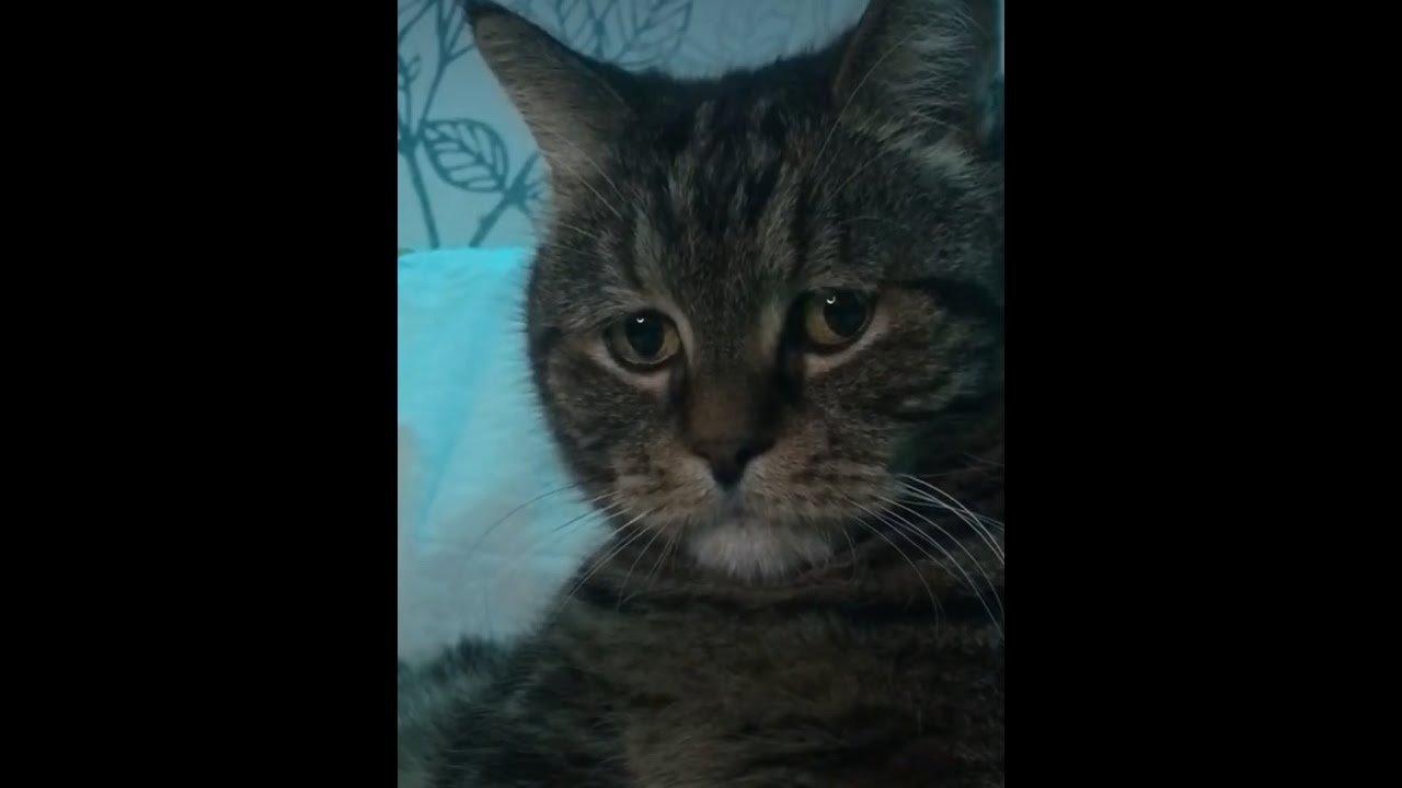 U  O  T  E     ｗｉｌｌ ｂｅ ｆｉｎｅ