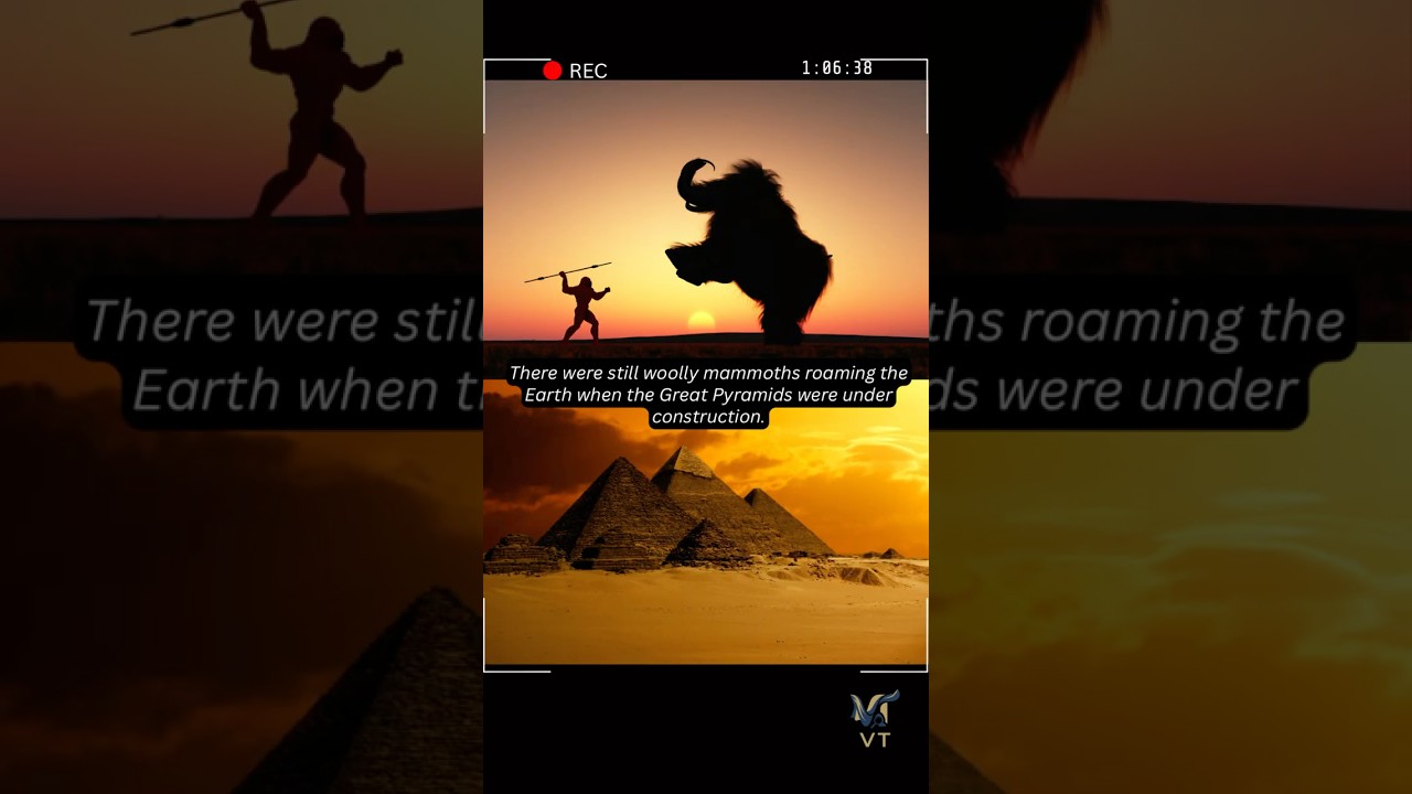 Historical Facts That Will Distort Your Perception Of Time🤯 