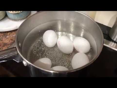 Download How to Cook Perfect Hard Boiled Eggs
