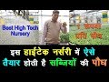 Best High Tech Nursery for Vegetables Seedling || Horticulture Department Haryana ||