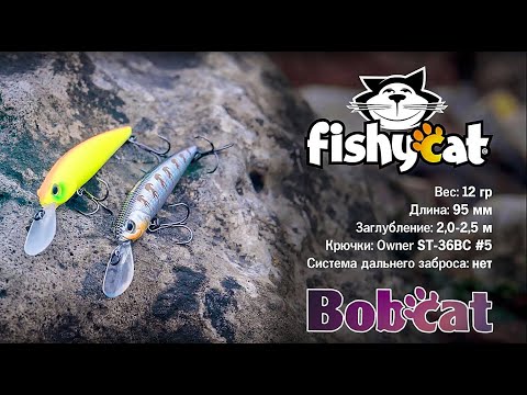 Fishycat Bobcat 95DSP в действии! Это видео открывает серию демонстрационных роликов о воблерах Fishycat.