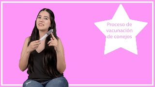 Proceso de vacunación de conejos México EHVC2