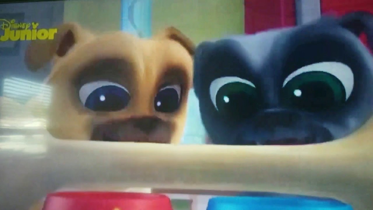 Puppy dog pals intro polish - YouTube