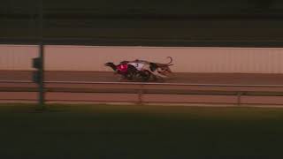 WBL THU 21 MAR 19 R6