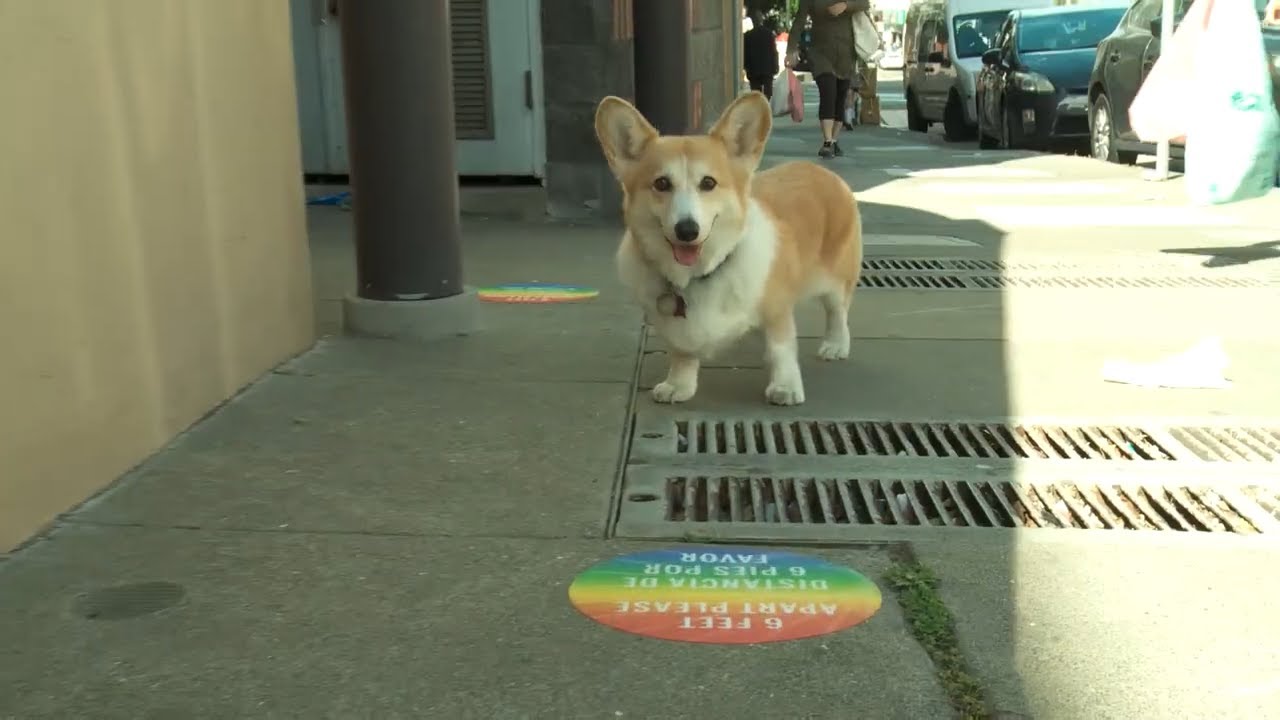 Experience the magic of SFPL To Go