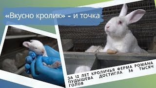 «Вкусно кролик» - и точка. За 12 лет ферма Романа Пудышева достигла 36 тысяч голов