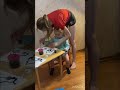 Декрет – день сурка