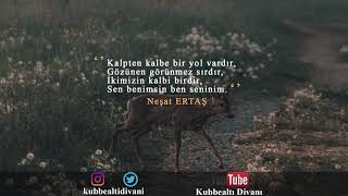 Neşat Ertaş - Kalpten Kalbe Giden Bir Yol Vardır (İnstagram Paylaşım) Resimi