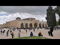 يا خير الخلائق يا خير الورى 