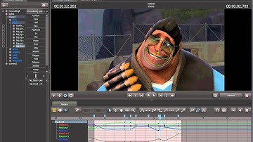 SFM Bug -- Animation freezes/locks