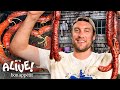 Brad & His Dad Make Venison Andouille Sausage | It's Alive | Bon Appétit