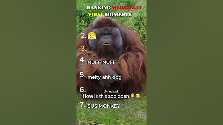 Ranking Madezzelli Top VIRAL Moment 😂