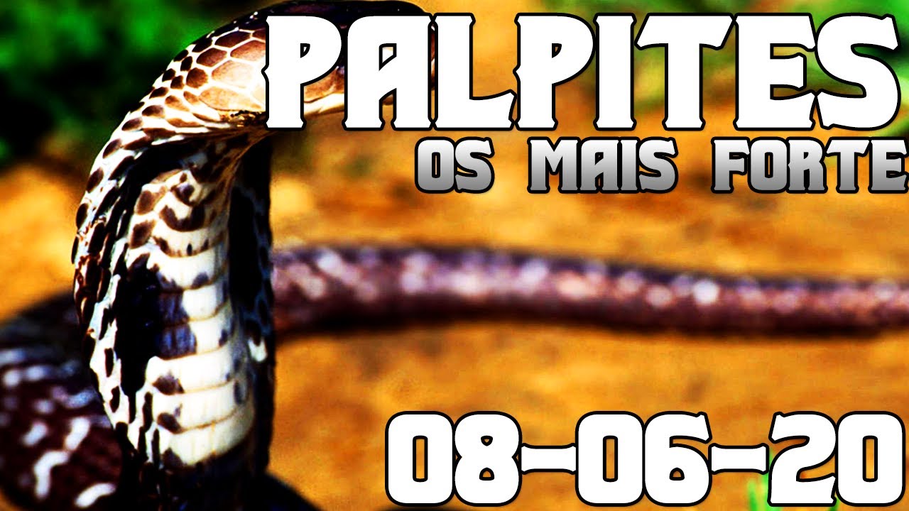 dicas palpites futebol