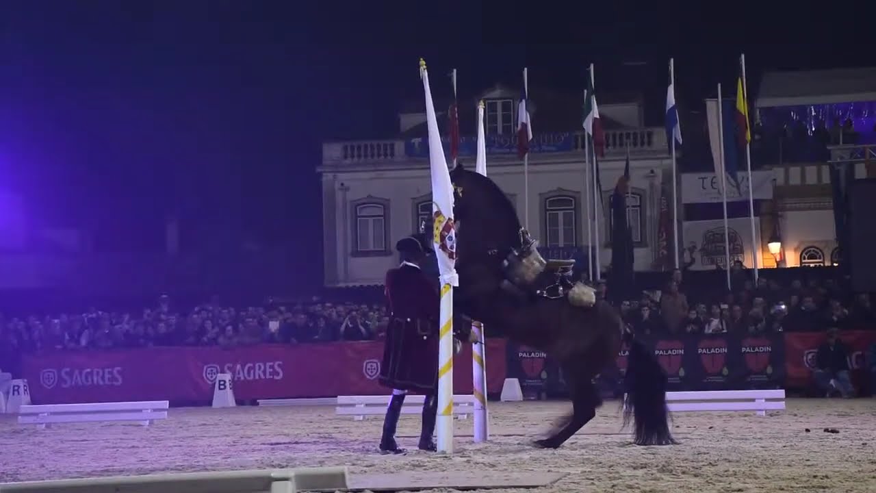 Espetáculo Equestre na Feira do Cavalo - Golegã 2015