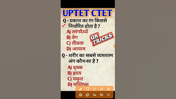 UPTET CTET // evs for uptet // #shorts // #shortsvideo