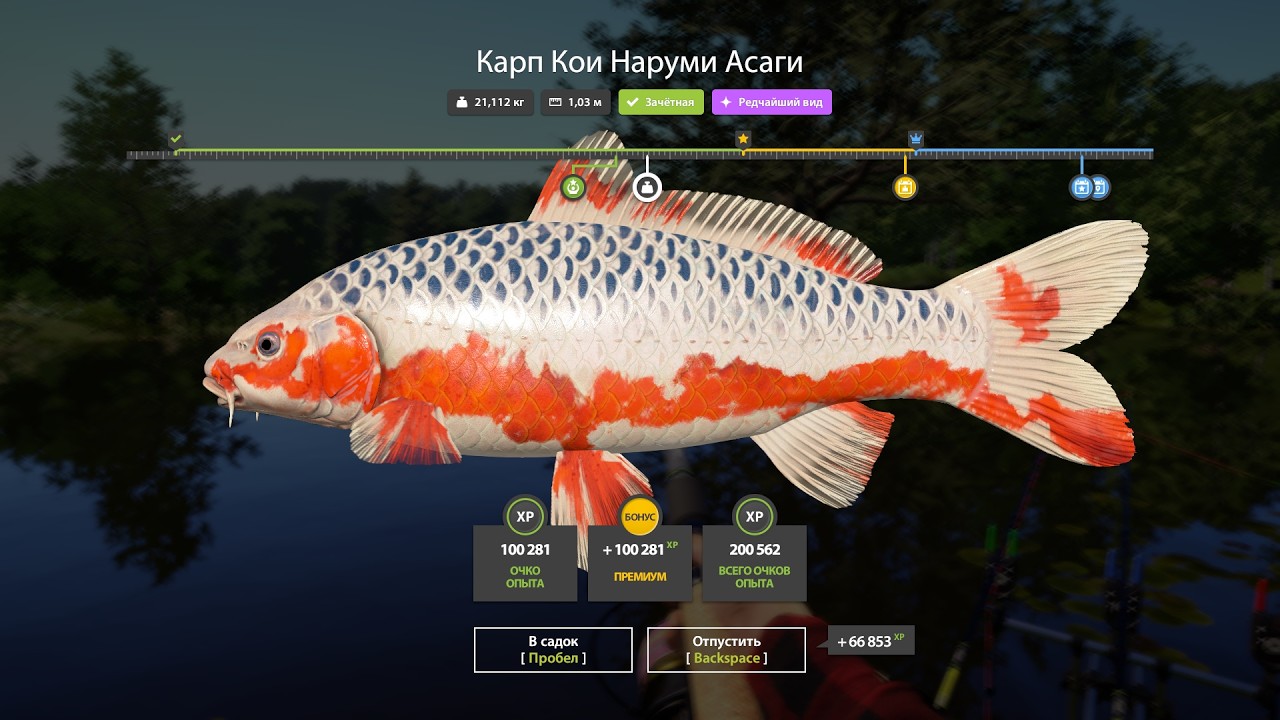 Проверка фарма серебра на Медном. Русская рыбалка 4. РР 4.