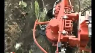 Дискователь садовый Rinieri Velox con dischi