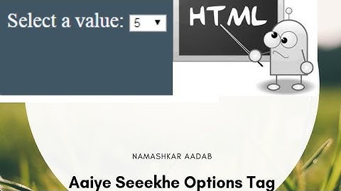 How To Add Option To Select Tag From Input Text Using Html