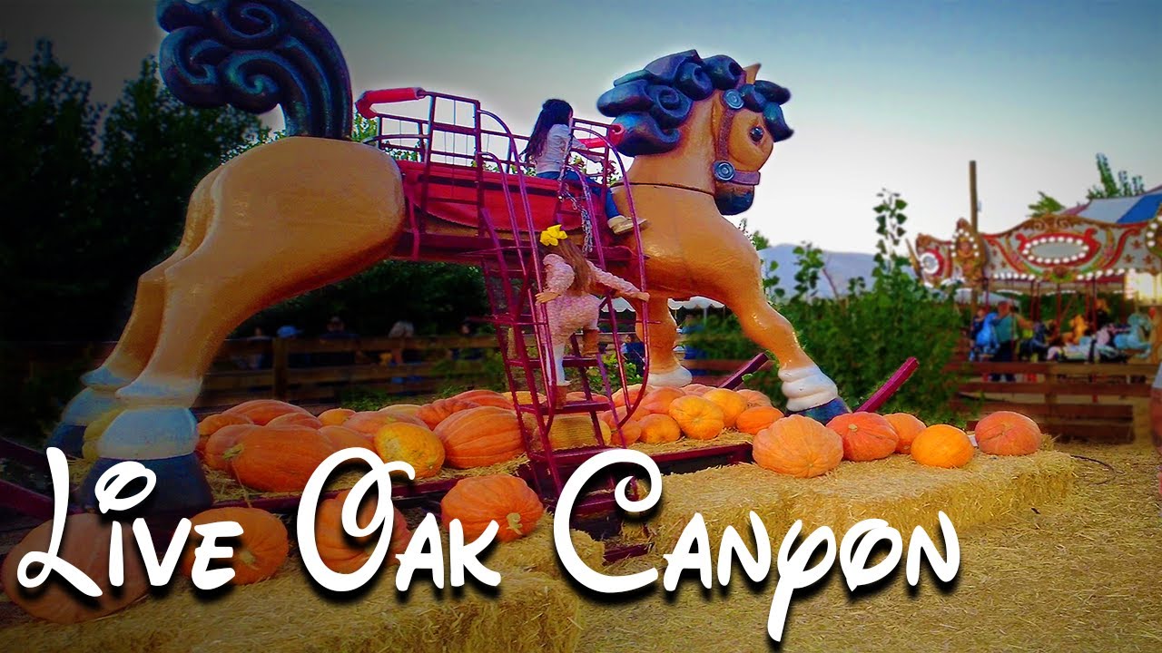 Live Oak Canyon Pumpkin Patch Oak glen POV walkthru 2021 YouTube
