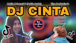 DJ CINTA REMIX ❤ | NABILA MAHARANI COVER TERSANTUY 2K21 TIKTOK | VINA PANDUWINATA CINTA 🔥🔥🔥