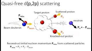 картинка: SRC Measurement with Polarized Deuteron Beam: Preparation Status, M. Patsyuk (ЛФВЭ), 13.12.2024