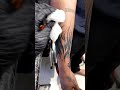 cover up tattoo