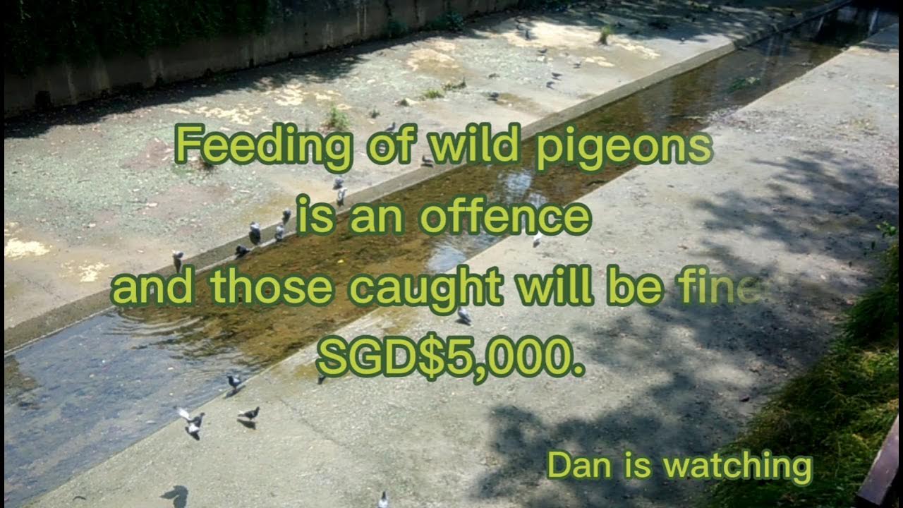 Let Nature Take Its Course YouTube