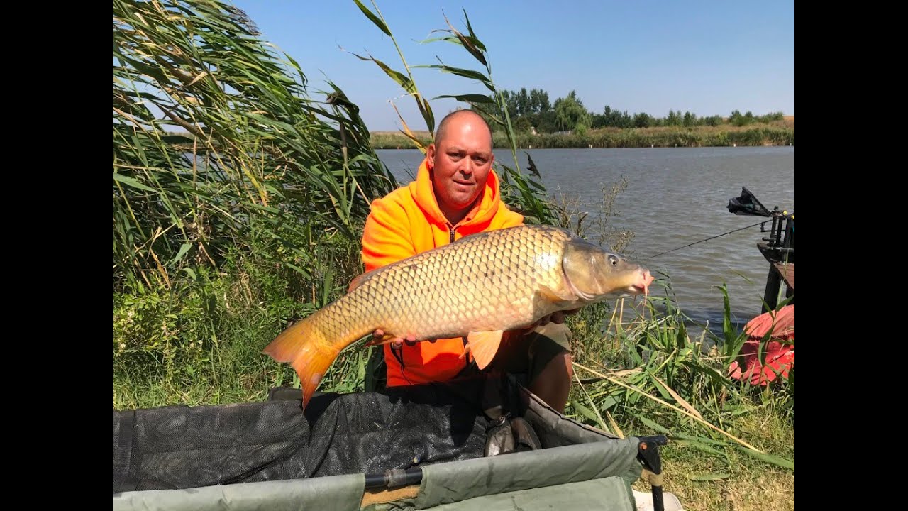 Finala Method Feeder Crap . Ziua 2. Sa fie acesta momentul meu ?