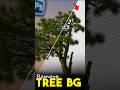 How to Effortlessly Remove Complex Tree Backgrounds in Photoshop! 🌳✨ #photoshoptutorial #shorts