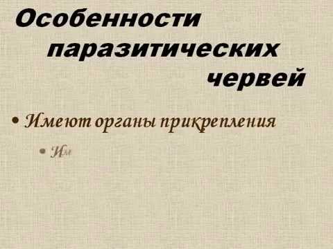 Паразитические плоские черви.AVI