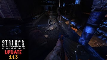 S.T.A.L.K.E.R. Shadow of Chernobyl Update 1.4.3 (4K) Gameplay - Part 3