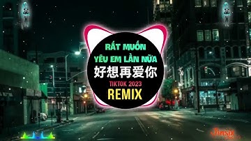 潘广益 - 好想再爱你 (抖音DJ光仔 x DJ细霖版 2023) Hao Xiang Zai Ai Ni - Rất Muốn Yêu Em Lần Nữa (Remix Tiktok)