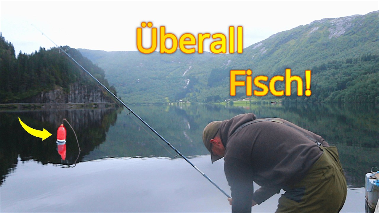 Float fishing from the shore in Norway! The fish are biting like crazy!
