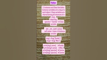 "Python Instance vs Class Variables 🐍 | Unique vs Shared Attributes in OOP"