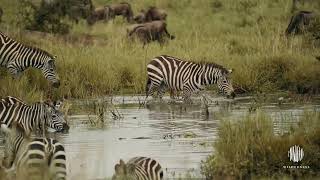 Great Migration Safari in Tanzania | Wilderness Usawa Serengeti
