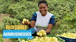 These Top 10 Agribusiness Can Make You A Millionaire In Months Immediately | Rich Agribusinesses
