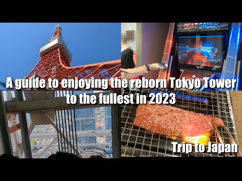 Video: Stemmestyret 3D -printet trikopter: 23 trin (med billeder) Video: Stemmestyret 3D -printet trikopter: 23 trin (med billeder)
