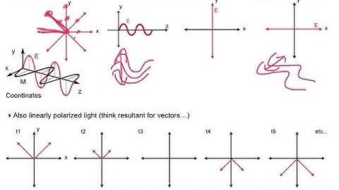 Lecture 5A Types of Polarization