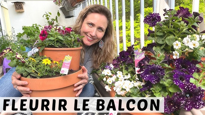 Je veux déguster les fleurs de mon balcon ! - M6