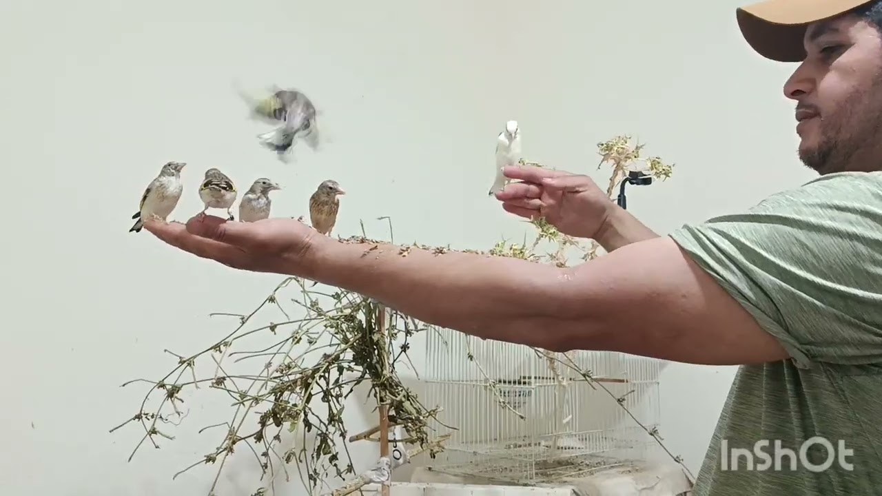 شريط وداني من التراث المراكشي,,,الكبيدة tv 