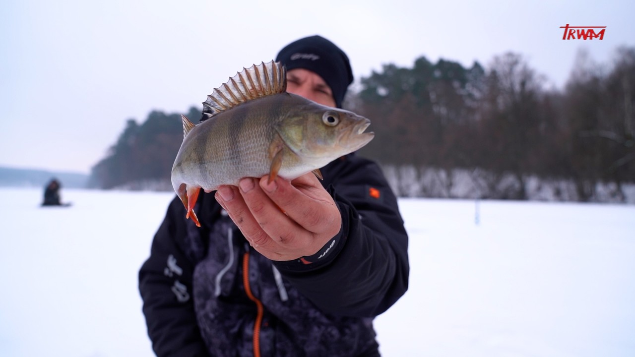 Z WEDKA NAD WODĘ W POLSKĘ I ŚWIAT ODC 358 - WĘDKARSKA WYPRAWA NA ZAMARZNIĘTE JEZIORO