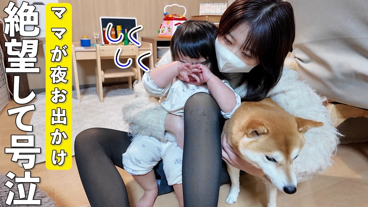 ママが夜いないことを知って号泣する2歳児と困惑する柴犬が可愛すぎました笑