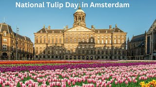 Amsterdam Tulip day 2025 | National Tulip Day