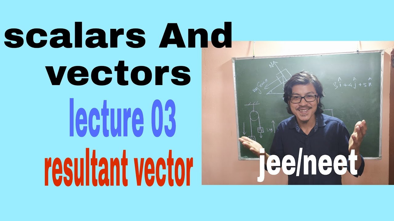 Scalars and Vectors - YouTube