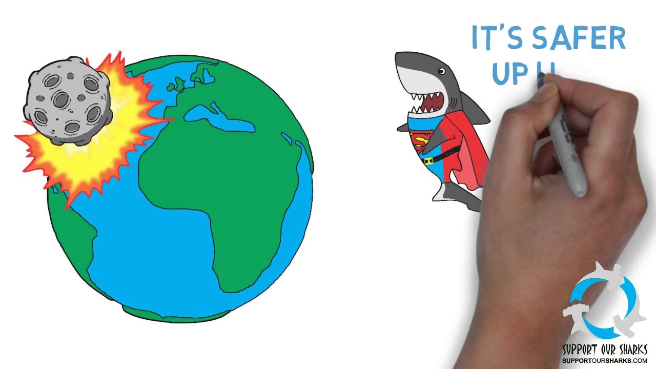 How Long Have Sharks Existed? [Shark Science 101]