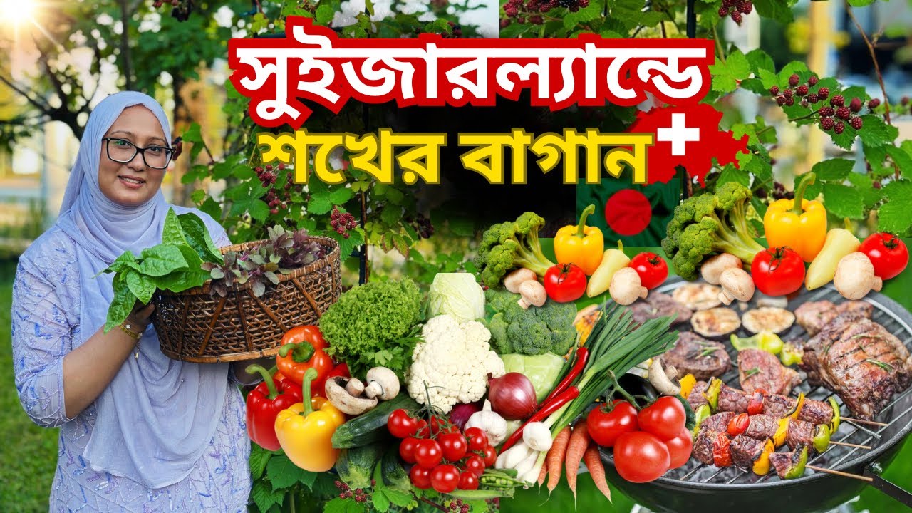 সুইজারল্যান্ডে আমাদের শখের বাগান 🇨🇭🇧🇩